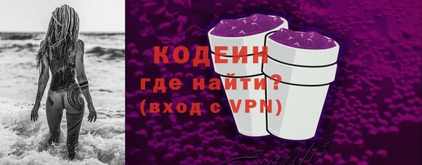 хмурый Тайга