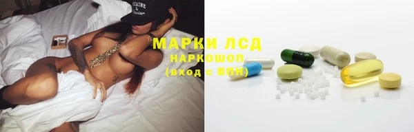 крисы Верхний Тагил